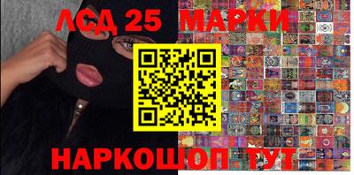 прущие грибы Будённовск