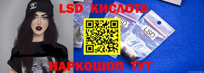 прущие грибы Будённовск