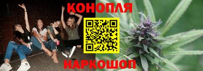 прущие грибы Будённовск