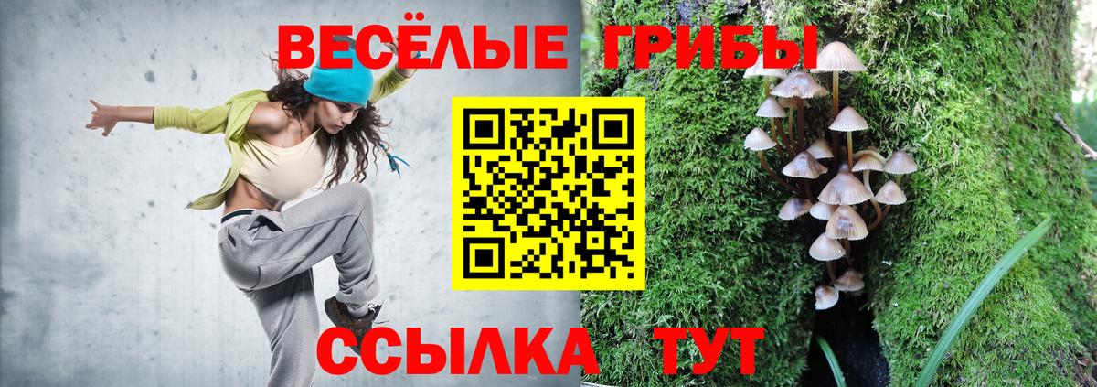 Галлюциногенные грибы MAGIC MUSHROOMS Серпухов